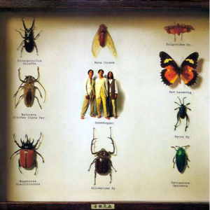 久久久无码精品亚洲日韩AV电影
