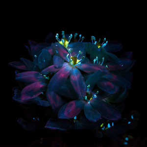 久久久无码精品亚洲日韩AV电影
